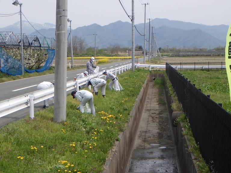 清掃活動の様子